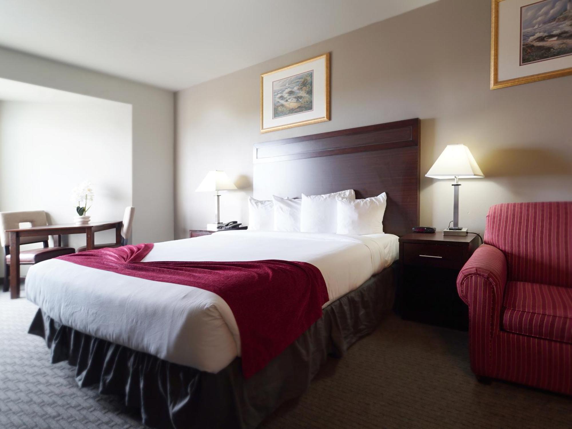 King Room,1597557674:JPEG